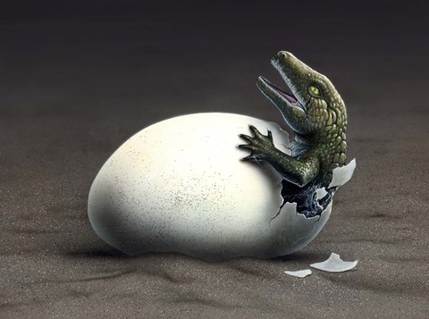 Framed Seymouria Hatching Print