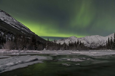 Framed Aurora Borealis over Annie Lake, Yukon, Canada Print