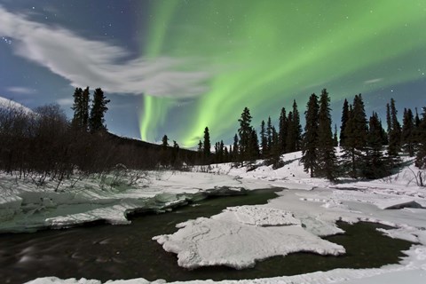Framed Yukon, Canada Print