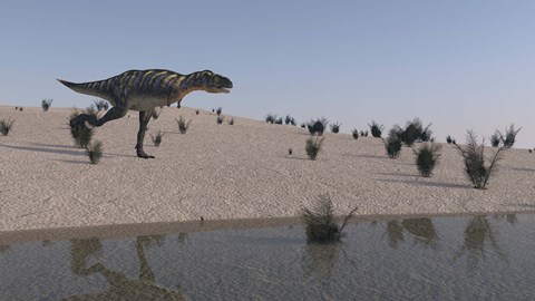 Framed Aucasaurus Print