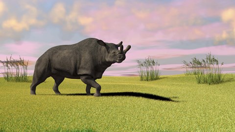 Framed Brontotherium Grazing Print