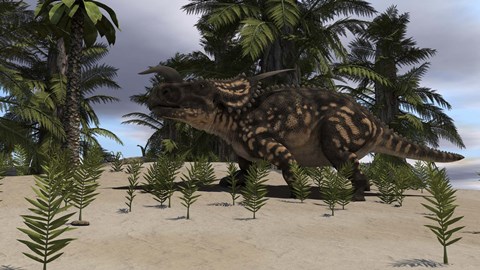 Framed Brown Einiosaurus Print