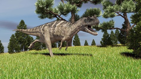 Framed Ceratosaurus Print