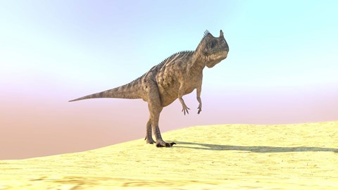 Framed Ceratosaurus Hunting in a Desert Print