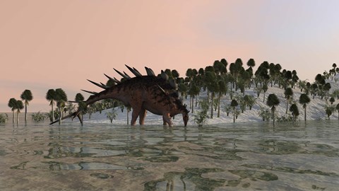 Framed Kentrosaurus Drinking Print