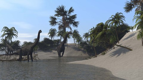 Framed Three Brachiosaurus Dinosaurs Grazing Print