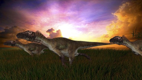Framed Three Utahraptors Running at Sunset Print