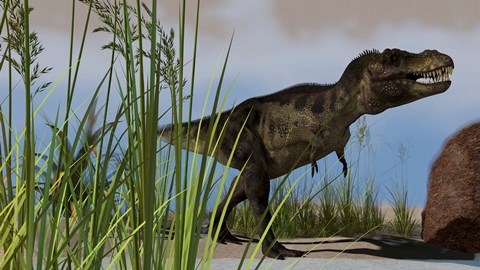 Framed T-Rex Hunting Print