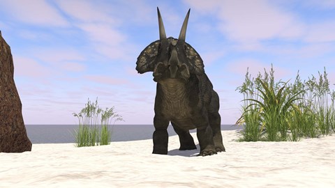 Framed Triceratops on a Beach Print