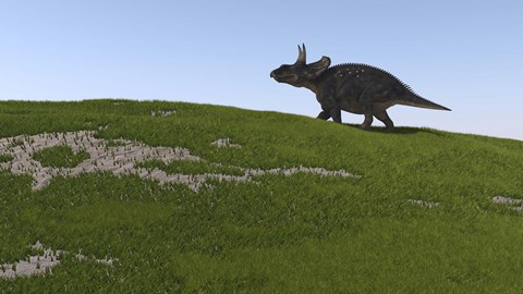 Framed Triceratops Walking Across a Grassy Field Print