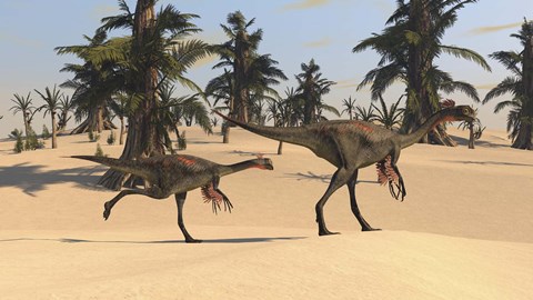 Framed Two Gigantoraptors in Desert Landscape Print