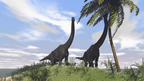 Framed Two Large Brachiosaurus Grazing Print