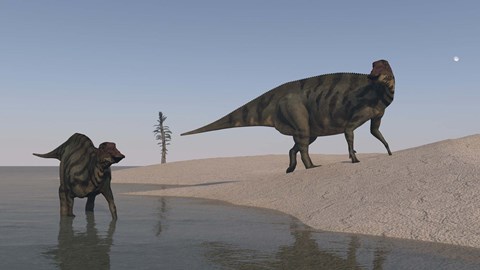 Framed Two Shuangmiaosaurus Dinosaurs Print