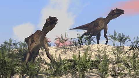 Framed Two Utahraptors Print