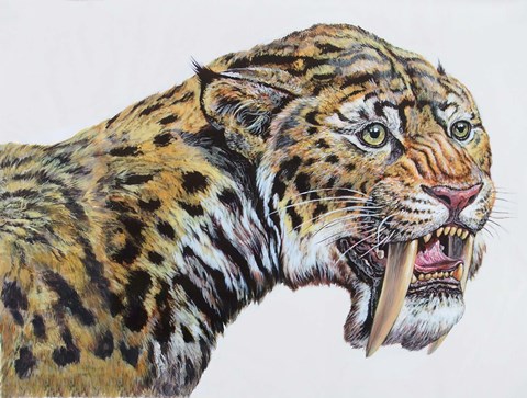 Framed Megantereon, Pliocene Epoch Print