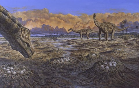 Framed Titanosaur Print