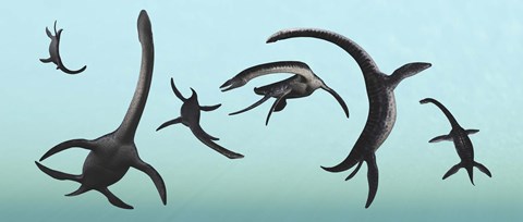Framed Plesiosaurs Gather Underwater Print