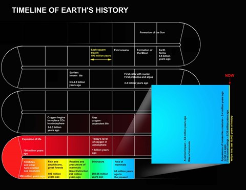 Framed Timeline of Earth&#39;s History Print