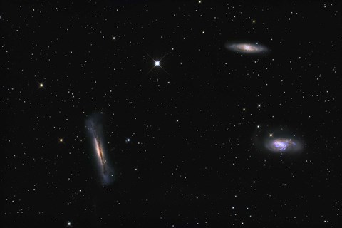 Framed Leo Triplet Print