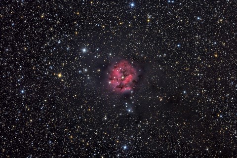 Framed Cocoon Nebula Print