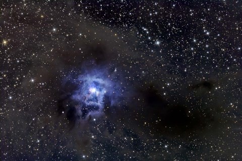 Framed Iris Nebula Print