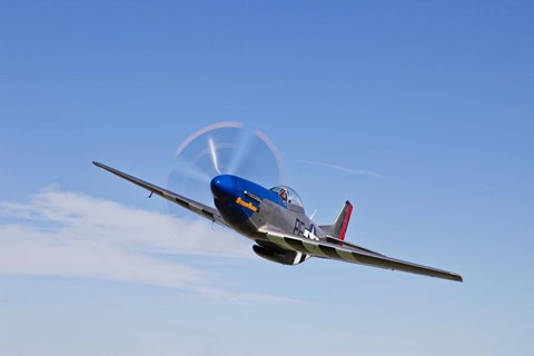 Framed P-51D Mustang in Flight Print