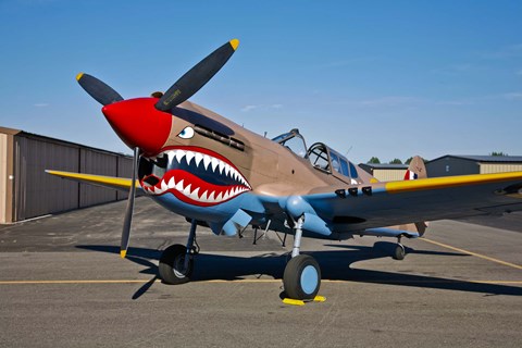 Framed Curtiss P-40E Warhawk Print