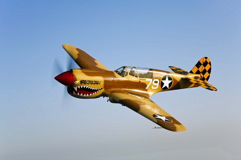 Framed P-40N Warhawk Print