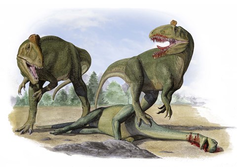 Framed Two Cryolophosaurus Ellioti Print