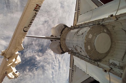 Framed Harmony Node Print