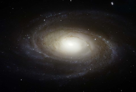 Framed Spiral Galaxy M81 Print