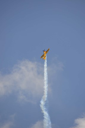 Framed Mudry CAP-231EX Print