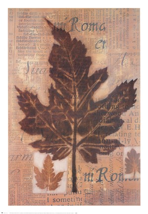 Framed Harvest II Print