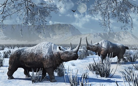 Framed Woolly Rhinoceros in Winter Print