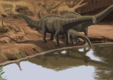 Framed Apatosaurus Dinosaurs Print