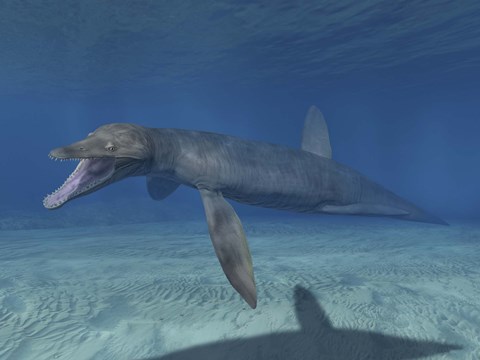 Framed Pliosaurus Kevani Print