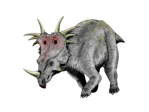Framed Styracosaurus Dinosaur Print