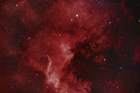 Framed NGC 7000, The North America Nebula Print