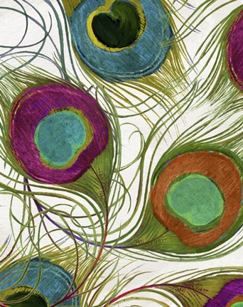 Framed Peacock Feathers II Print