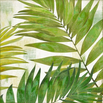 Framed Brasilia II Print