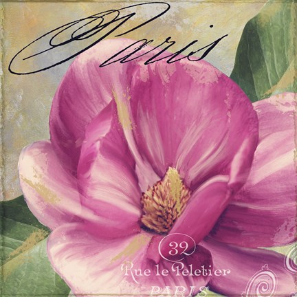 Framed Pink Magnolia I Print