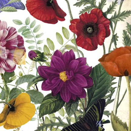 Framed Printemps III Print