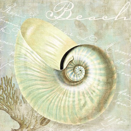 Framed Turquoise Beach IV Print