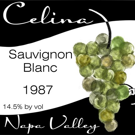 Framed Wine Walley I Print