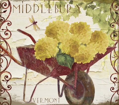 Framed Vermont Summer II Print