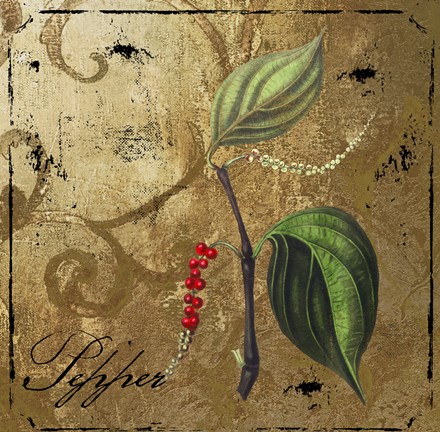 Framed Black Gold Herbs III Print