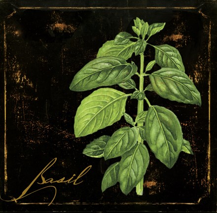 Framed Black Gold Herbs IV Print