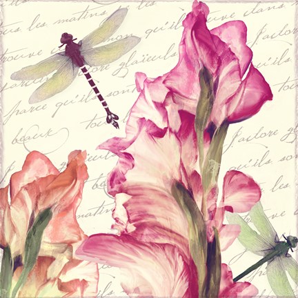 Framed Dragonfly Morning I Print