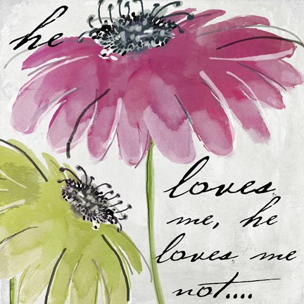 Framed Daisy Morning II Print