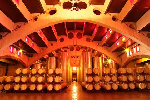 Framed Wine Cellar at Raimat, Costers del Segre, Catalonia, Catalunya, Spain Print